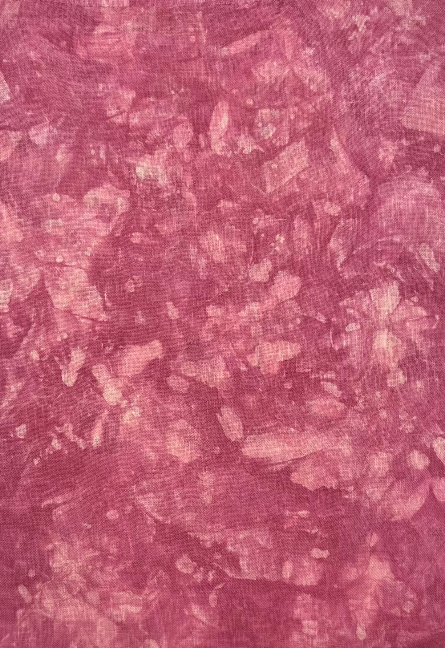 Cherry Blossom