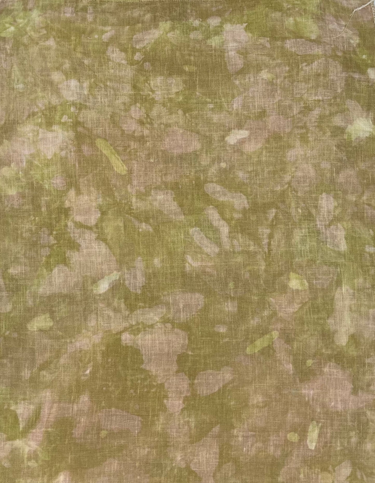Forest Floor