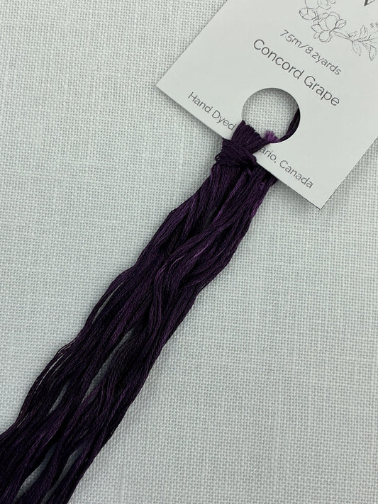 Concord Grape