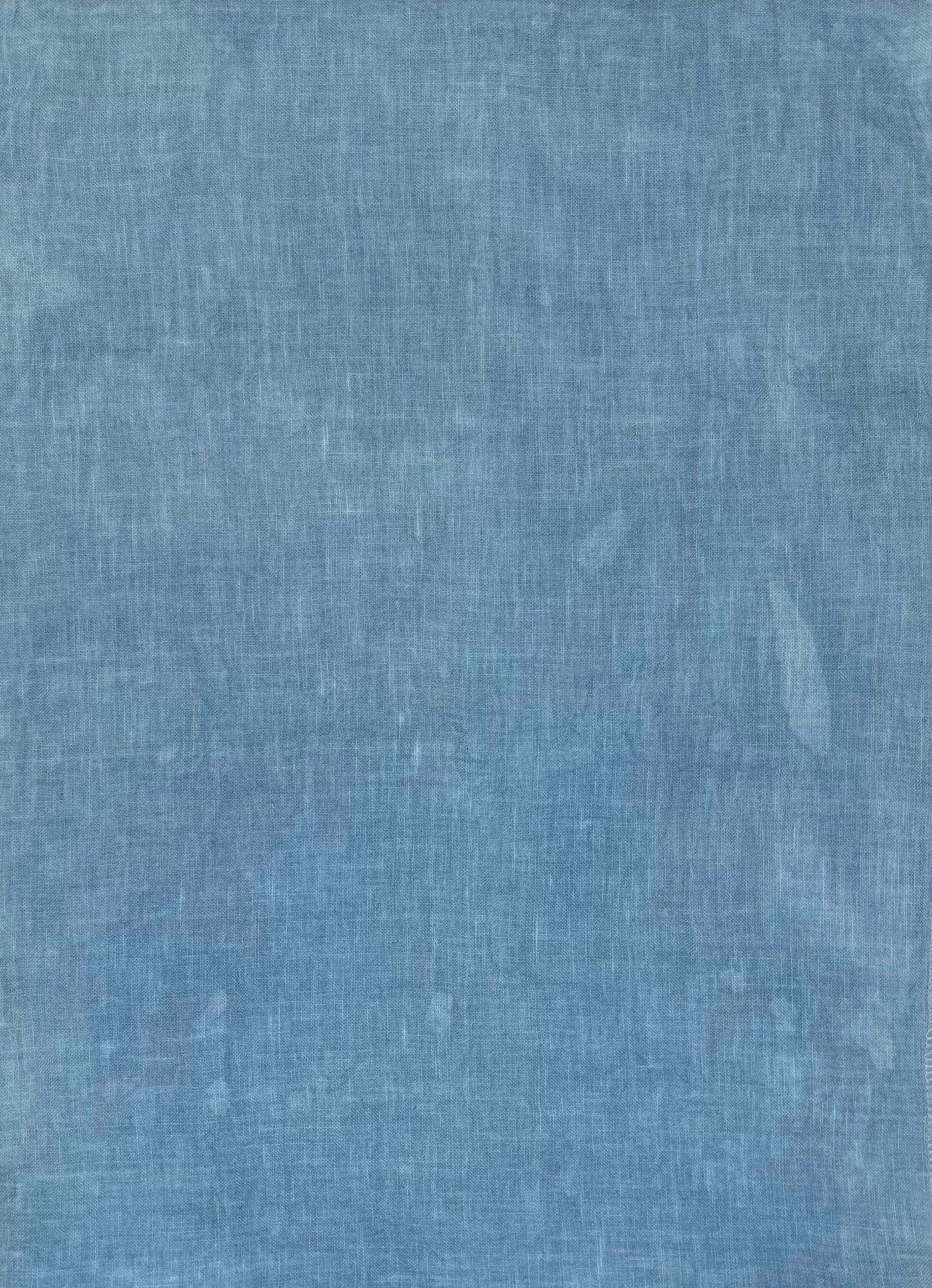 Bluey