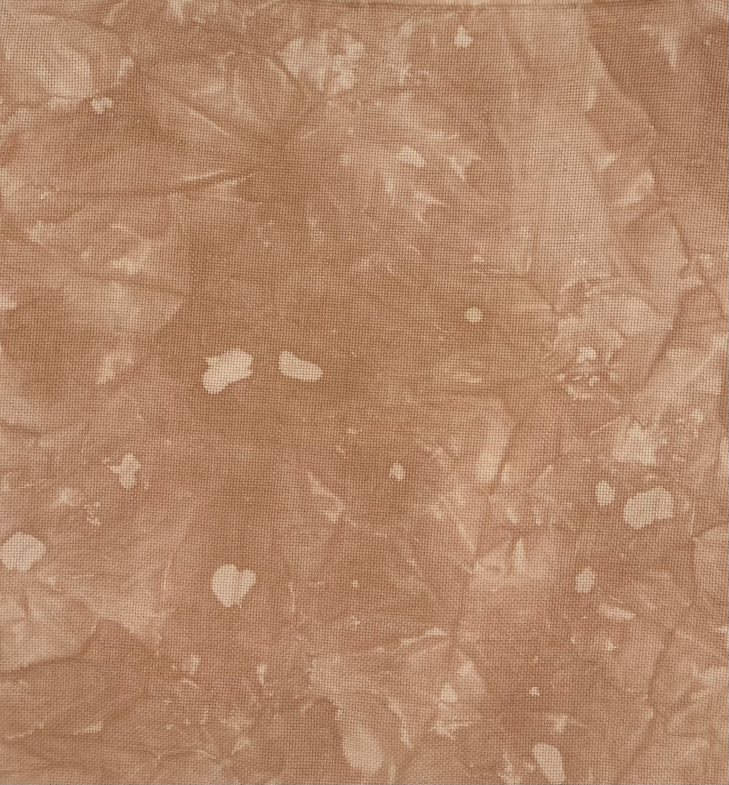 Fawn