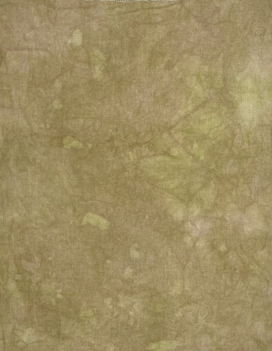 Forest Floor
