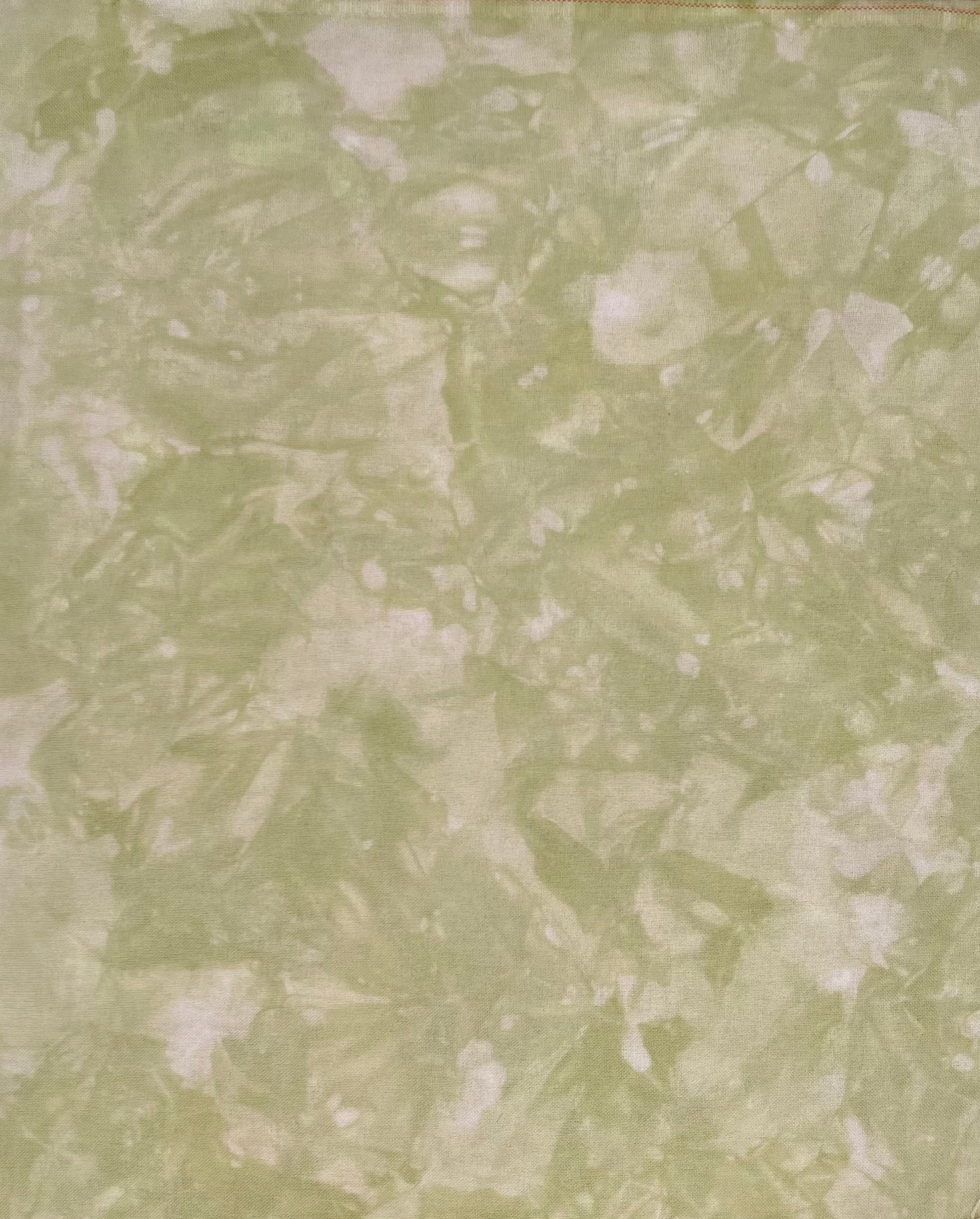 Forest Floor