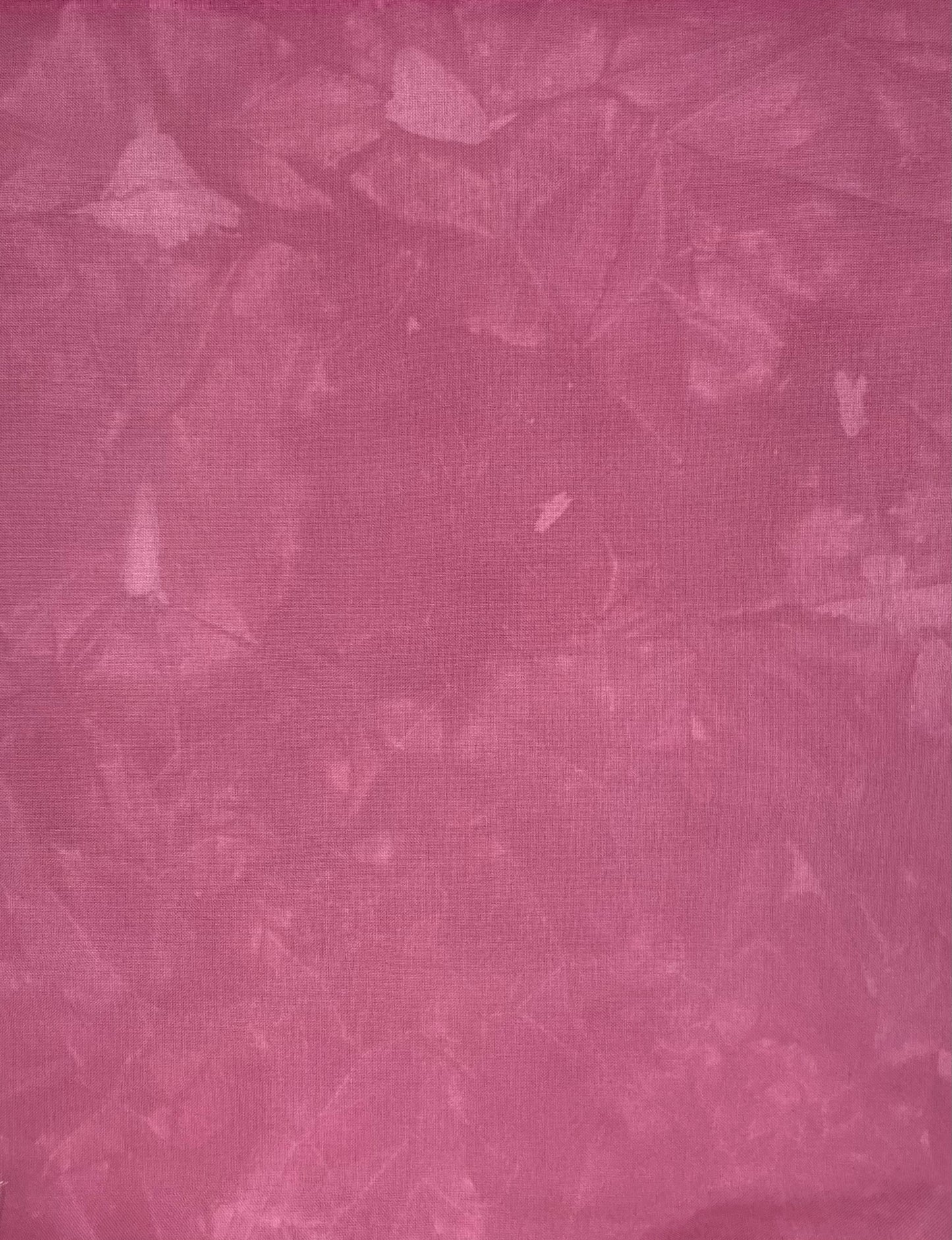 Raspberry Sherbert