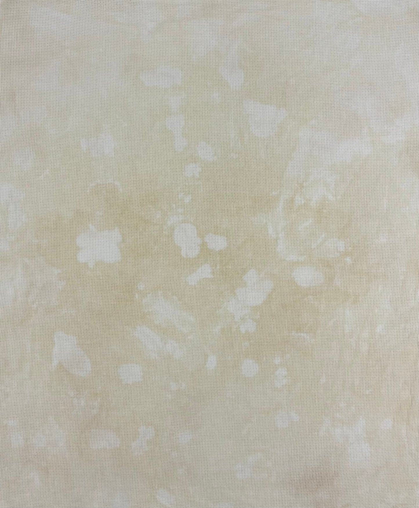 Sugar Cookie